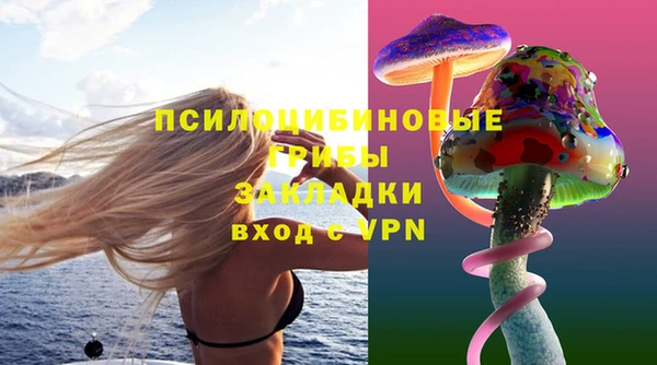 марки lsd Белокуриха